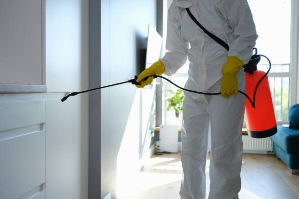 Best Mold Removal Process  in Ruch, OR